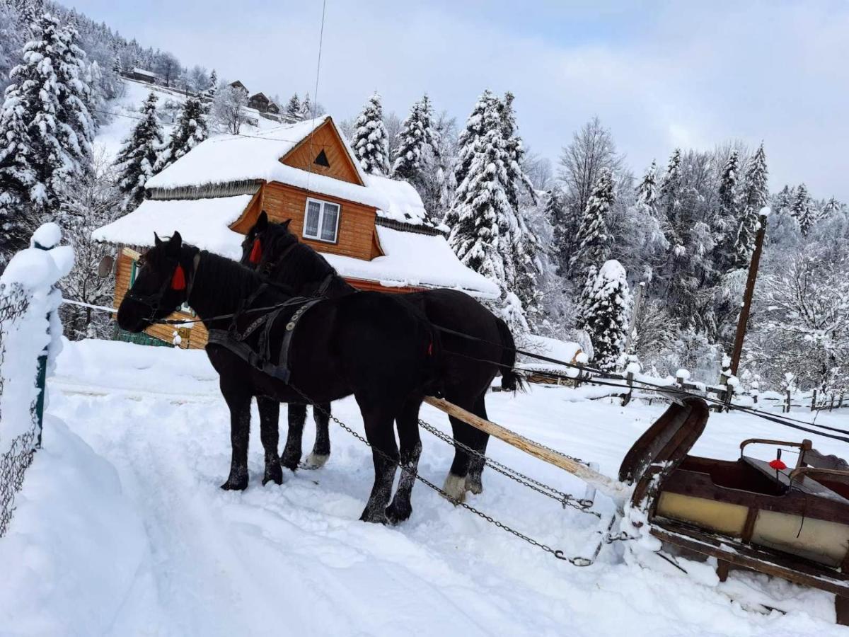 Cottage "Kliverent" Yaremche Bagian luar foto